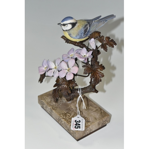 345 - AN ALBANY FINE CHINA LIMITED EDITION ''BLUE TIT', from the Titmice series, by David Burnham-Smith, o... 