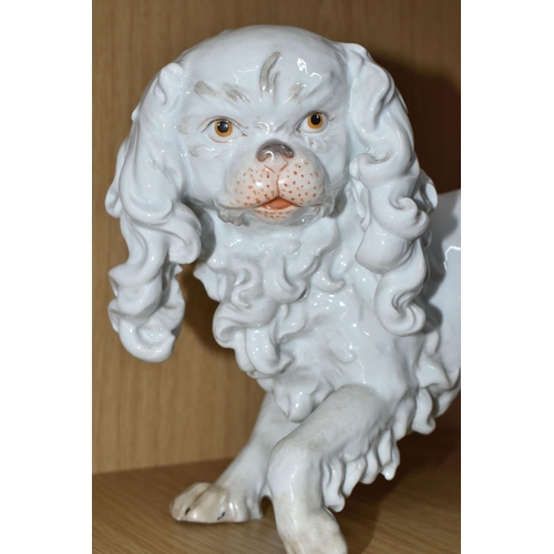 318 - A DRESDEN PORCELAIN PEKINGESE DOG FIGURE, possibly Carl Thieme, puce D backstamp, height 20.5cm x le... 