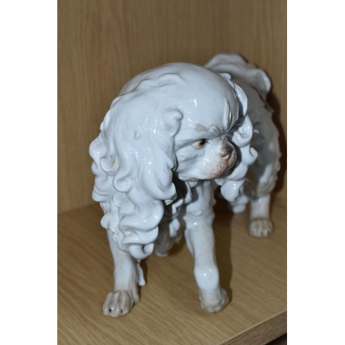 318 - A DRESDEN PORCELAIN PEKINGESE DOG FIGURE, possibly Carl Thieme, puce D backstamp, height 20.5cm x le... 