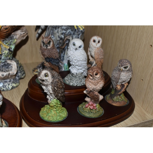 320 - THREE ROYAL DOULTON  LIMITED EDITION BIRDS OF PREY, comprising Tawny Owl DA156, 320/2500, Peregrine ... 