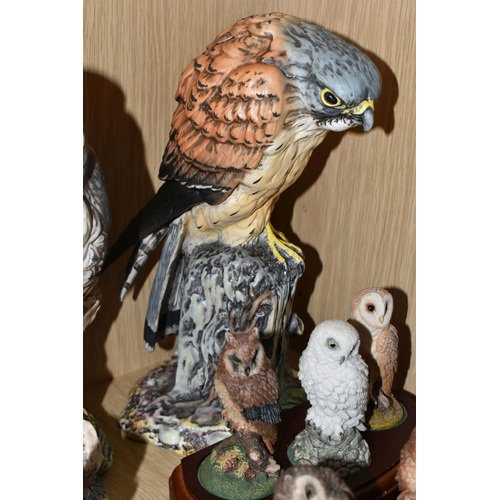 320 - THREE ROYAL DOULTON  LIMITED EDITION BIRDS OF PREY, comprising Tawny Owl DA156, 320/2500, Peregrine ... 