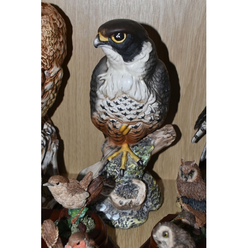 320 - THREE ROYAL DOULTON  LIMITED EDITION BIRDS OF PREY, comprising Tawny Owl DA156, 320/2500, Peregrine ... 