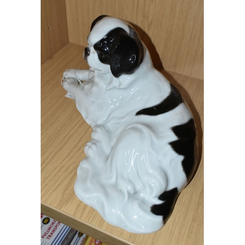 343 - A ROSENTHAL RECUMBANT JAPANESE CHIN DOG, incised mars to the base Max Valentin 9419, length 28cm x w... 