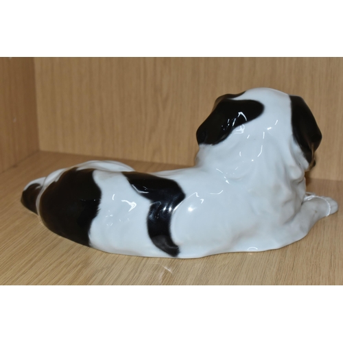 343 - A ROSENTHAL RECUMBANT JAPANESE CHIN DOG, incised mars to the base Max Valentin 9419, length 28cm x w... 