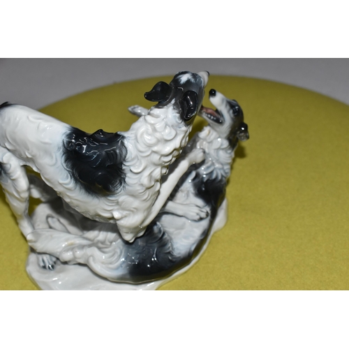 369 - A ROSENTHAL PORCELAIN PAIR OF RUSSIAN BORZOI  DOGS AT PLAY, green backstamp, height 14.5cm x width 1... 