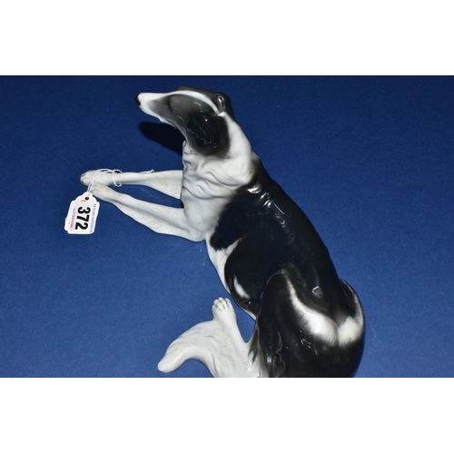 372 - A ROSENTHAL PORCELAIN MODEL OF A BORZOI, designed by M.Valentin, length 28cm, c1955, impressed 200/1... 