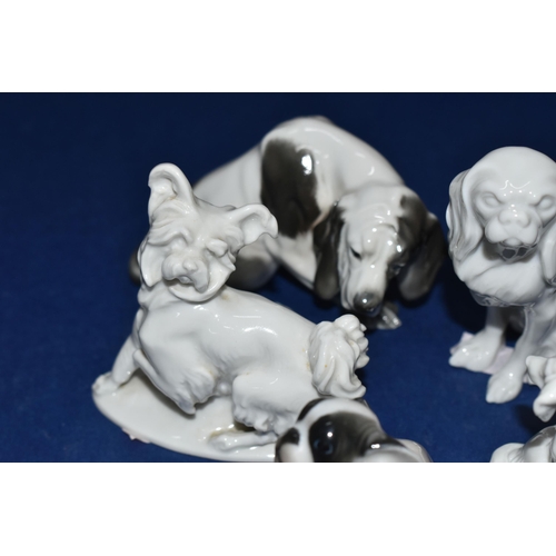 390 - A GROUP OF FIVE ROSENTHAL DOG FIGURINES, comprising a small Papillon, height 7.5cm, a seated Pekines... 