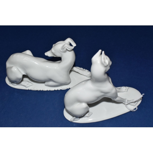 393 - TWO ROSENTHAL DOGS, DESIGNED BY THOMAS KARNER, c1910, green backstamp, seated dog has impressed T.Ka... 