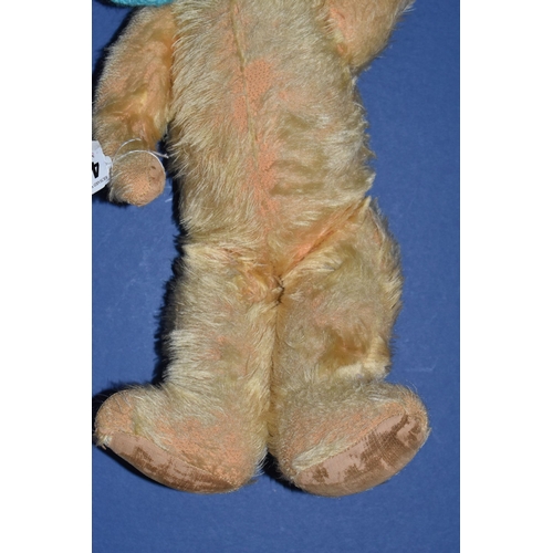 443 - A GOLDEN PLUSH TEDDY BEAR, amber and black plastic eyes, shaved muzzle with vertical stitched nose, ... 