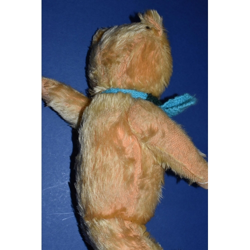 443 - A GOLDEN PLUSH TEDDY BEAR, amber and black plastic eyes, shaved muzzle with vertical stitched nose, ... 