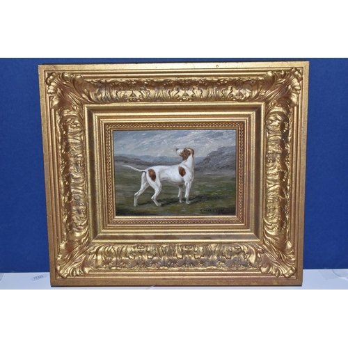 462 - C.HARRISON (20TH CENTURY) A STANDING PORTRAIT STUDY OF A SPORTING DOG, signed bottom right, oil on b... 