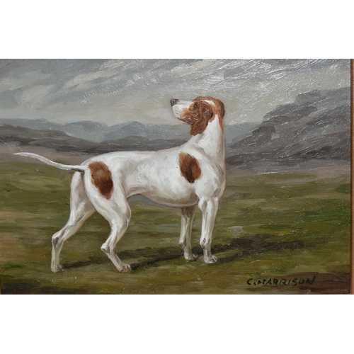 462 - C.HARRISON (20TH CENTURY) A STANDING PORTRAIT STUDY OF A SPORTING DOG, signed bottom right, oil on b... 