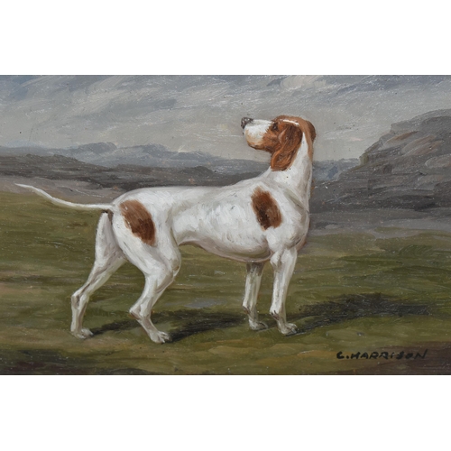 472 - C.HARRISON (20TH CENTURY) A STANDING PORTRAIT STUDY OF A SPORTING DOG, signed bottom right, oil on b... 