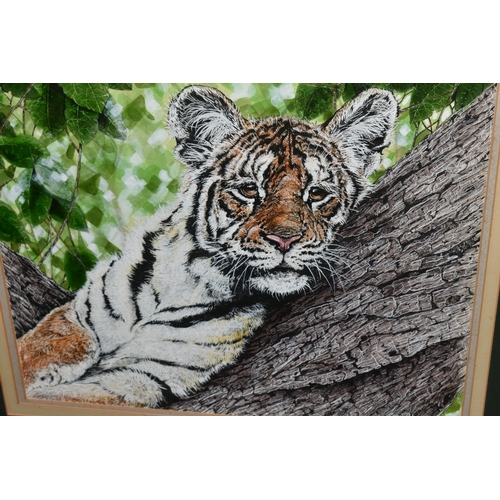 505 - CRAIG ROBERTS (CONTEMPORARY) A PORTRAIT OF A TIGER CUB, signed and dated '89 bottom right, artist si... 