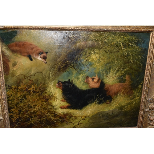 509 - CIRCLE OF GEORGE ARMFIELD (1808-1893) TERRIERS AND A FOX IN A TREE, bears an indistinct signature lo... 