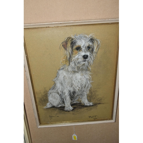 510 - MAJORIE COX (1915-2003) TWO PORTRAITS OF DOGS, comprising 'Fudge' a Golden Retriever, signed and tit... 