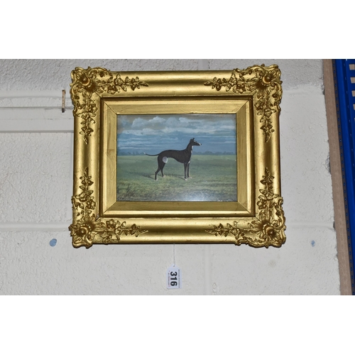 316 - A STEVENSON (18TH/19TH CENTURY) A VICTORIAN STANDING PORTRAIT OF A GREYHOUND, signed and dated 1892 ... 