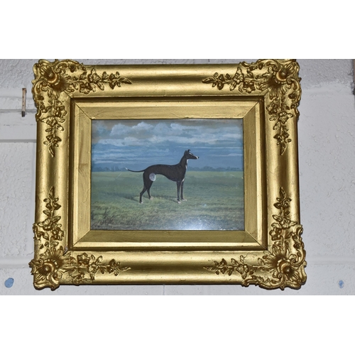 316 - A STEVENSON (18TH/19TH CENTURY) A VICTORIAN STANDING PORTRAIT OF A GREYHOUND, signed and dated 1892 ... 