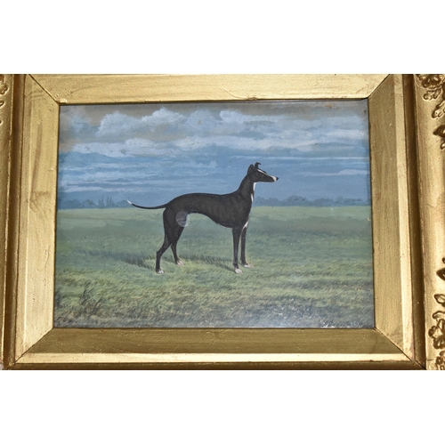 316 - A STEVENSON (18TH/19TH CENTURY) A VICTORIAN STANDING PORTRAIT OF A GREYHOUND, signed and dated 1892 ... 