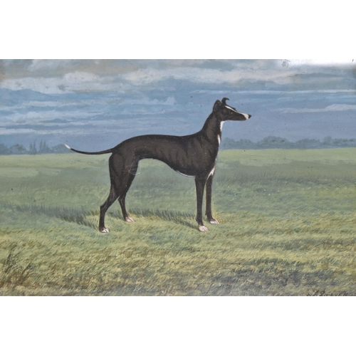 316 - A STEVENSON (18TH/19TH CENTURY) A VICTORIAN STANDING PORTRAIT OF A GREYHOUND, signed and dated 1892 ... 