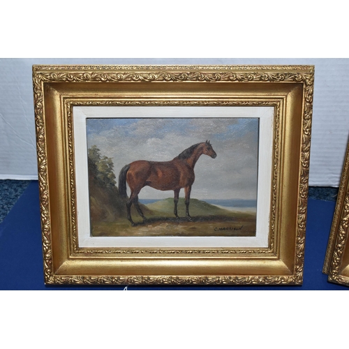 327 - C.HARRISON (20TH CENTURY) TWO EQUINE PORTRAITS, the first depicting a horse with a saddle, signed bo... 