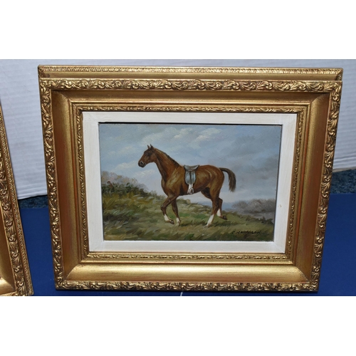 327 - C.HARRISON (20TH CENTURY) TWO EQUINE PORTRAITS, the first depicting a horse with a saddle, signed bo... 