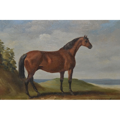 327 - C.HARRISON (20TH CENTURY) TWO EQUINE PORTRAITS, the first depicting a horse with a saddle, signed bo... 