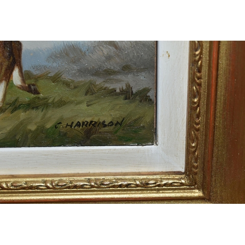 327 - C.HARRISON (20TH CENTURY) TWO EQUINE PORTRAITS, the first depicting a horse with a saddle, signed bo... 