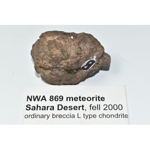 322 - A NWA 869 METEORITE SAMPLE, fell in the Sahara Desert 2000, an ordinary breccia L type chondrite, 16... 