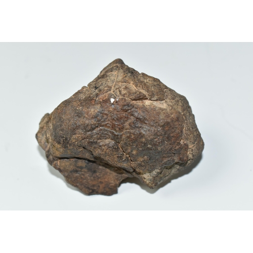 322 - A NWA 869 METEORITE SAMPLE, fell in the Sahara Desert 2000, an ordinary breccia L type chondrite, 16... 