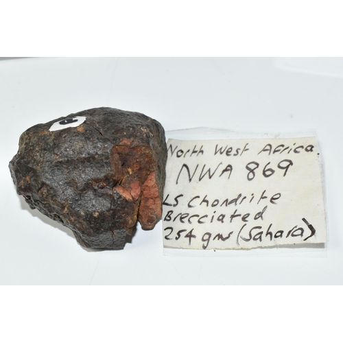 323 - A NWA 869 METEORITE SAMPLE, found in the Sahara Desert, a Brecciated LS Chondrite, 254 grams (meteor... 