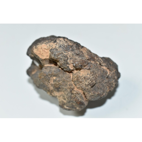 327 - AN UNCLASSIFIED TYPE L5 METEORITE, from the Sahara desert, fall date unknown, 97g