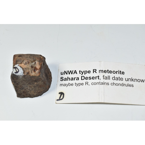 329 - AN UNCLASSIFIED NWA METEORITE, possibly type R, found in the Sahara Desert, contains chondrules, fal... 