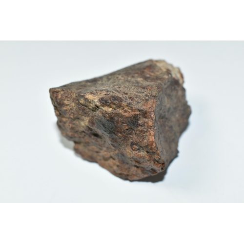 329 - AN UNCLASSIFIED NWA METEORITE, possibly type R, found in the Sahara Desert, contains chondrules, fal... 