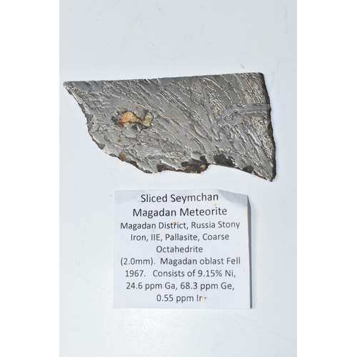 330 - A RUSSIAN POLISHED SEYCHAN MAGADAN METEORITE SLICE, consists of 9.15% Ni, 24.6ppm Ga, 68.3 ppeGe, 0.... 