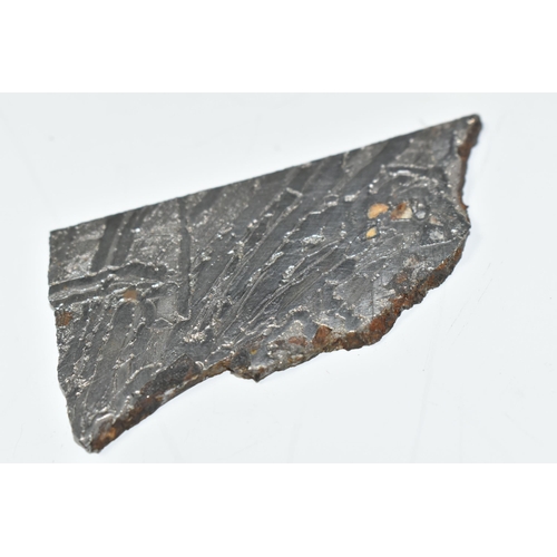 330 - A RUSSIAN POLISHED SEYCHAN MAGADAN METEORITE SLICE, consists of 9.15% Ni, 24.6ppm Ga, 68.3 ppeGe, 0.... 