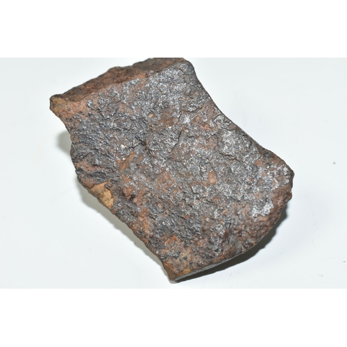 331 - AN UNCLASSIFIED NWA SAHARAN DESERT METEORITE, 79g