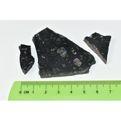 336 - THREE PIECES OF POLISHED IMPACT BRECCIA FROM THE SUDBURY CRATER, formed from the impact of a meteor,... 