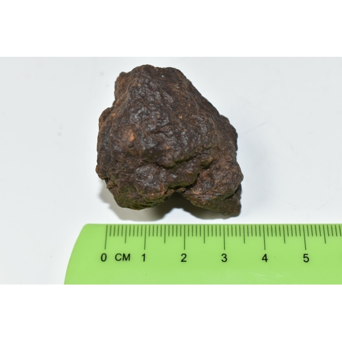 338 - AN UNCLASSIFIED NWA METEORITE, found Morocco circa 1990s, 59g