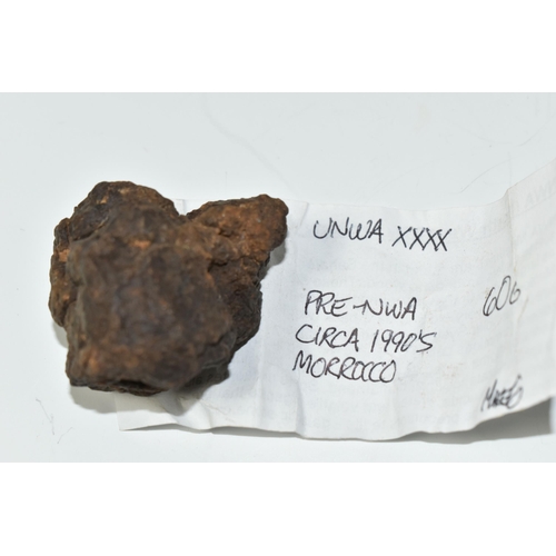 338 - AN UNCLASSIFIED NWA METEORITE, found Morocco circa 1990s, 59g