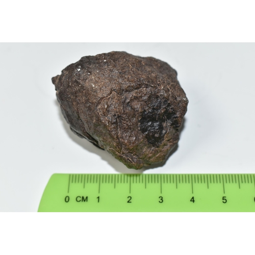 339 - AN UNCLASSIFIED NWA METEORITE, Ordinary Chondrite class, found 2008, 70.8g