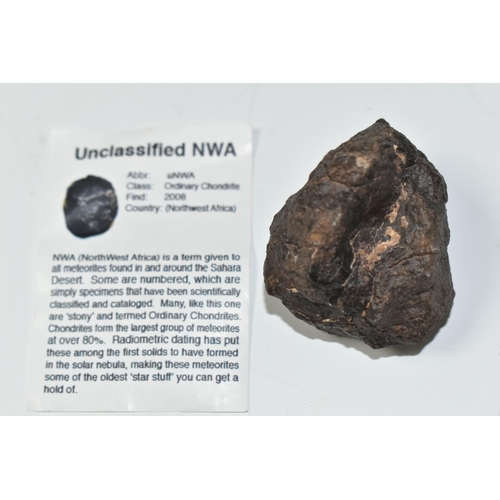 339 - AN UNCLASSIFIED NWA METEORITE, Ordinary Chondrite class, found 2008, 70.8g