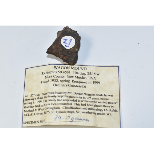 340 - A WAGON MOUND L6 METEORITE SAMPLE, found spring 1932, recognised 1999, Shock stage 2, Weathering gra... 