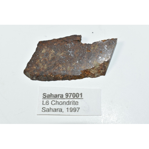 341 - A SLICE OF SAHARA 97001 METEORITE, classified L6 Chondrite, found 1997, 4.8g