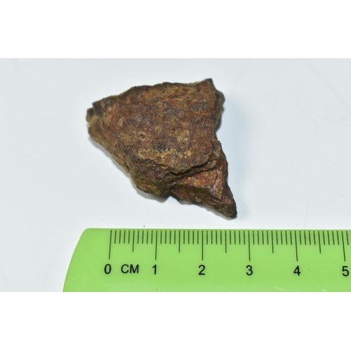 342 - AN L5 CHONDRITE METEORITE SAMPLE FROM DHOFAR, OMAN, found 2011, 19.6g