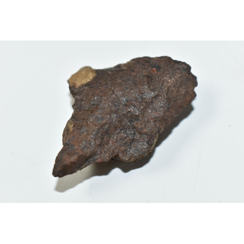 342 - AN L5 CHONDRITE METEORITE SAMPLE FROM DHOFAR, OMAN, found 2011, 19.6g