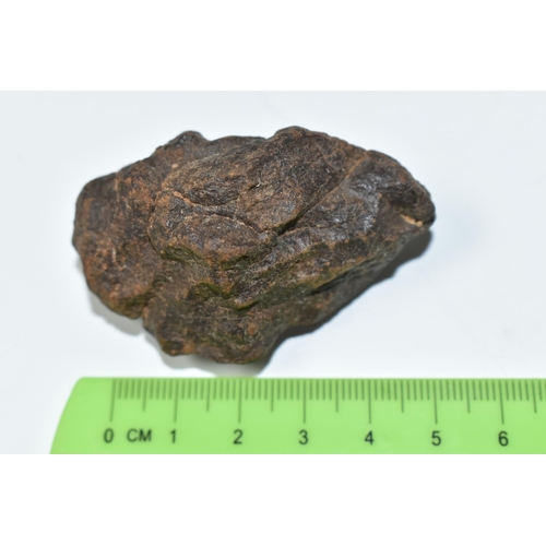 343 - AN UNCLASSIFIED NWA METEORITE SAMPLE FROM MOROCCO, pre 1990s, 69g