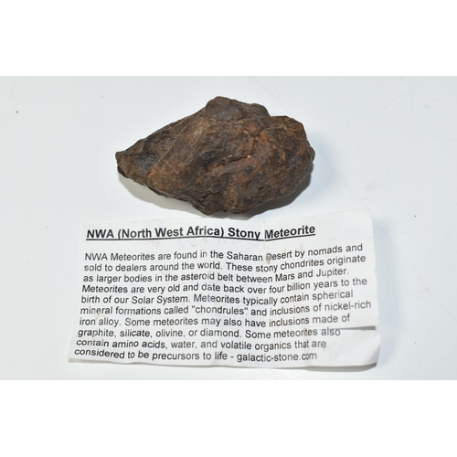 343 - AN UNCLASSIFIED NWA METEORITE SAMPLE FROM MOROCCO, pre 1990s, 69g