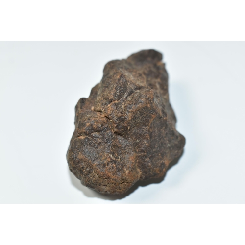 343 - AN UNCLASSIFIED NWA METEORITE SAMPLE FROM MOROCCO, pre 1990s, 69g