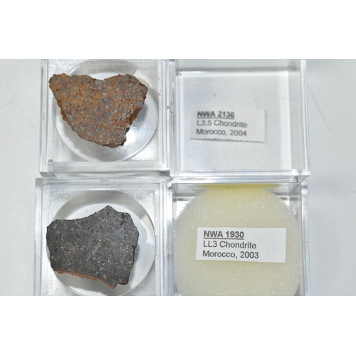 351 - TWO SLICES OF METEORITE SAMPLES, comprising a slice of NWA 1930 LL Chondrite found in Morocco 2003, ... 